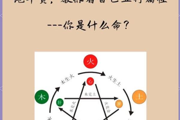 探索的五行属性对生活的影响