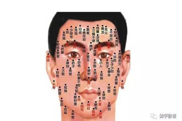 痣相决定命运？探索如何通过痣相折富，开启财富之门
