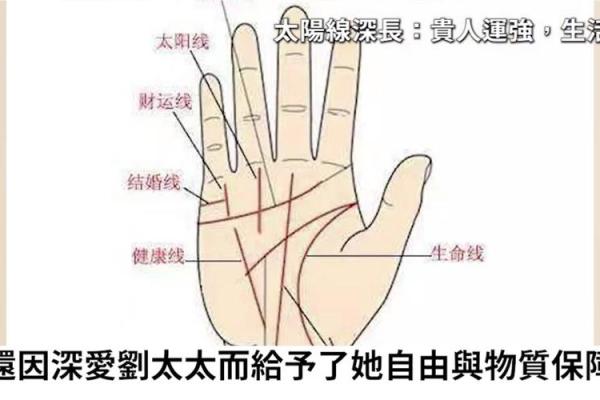 赌命手相：揭秘命运密码，一探究竟！