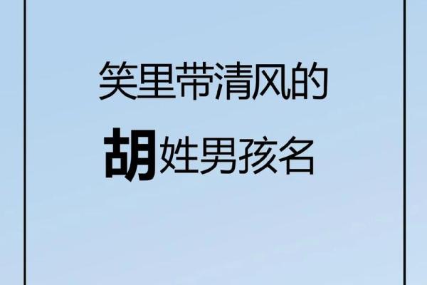 猴年胡姓宝宝名字精选