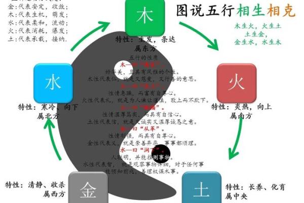 探究鸿五行属性与命理的关系