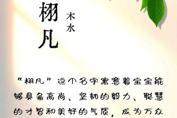 名字魅力：探寻刘屹峻背后的寓意与象征