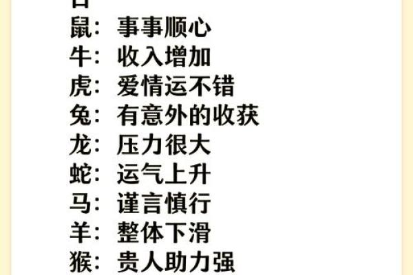 神秘命理揭秘：你的人生运势大起底！