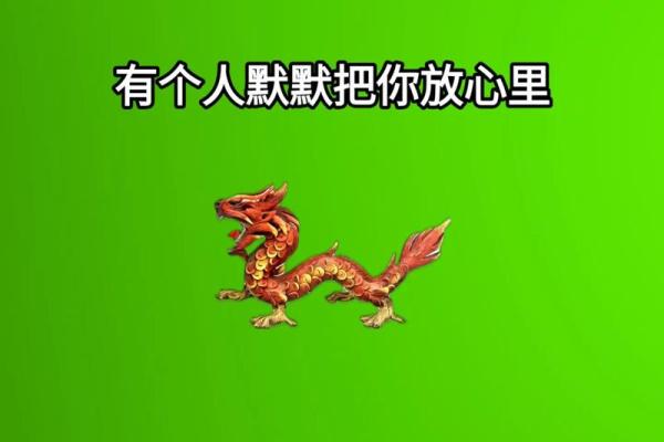 属龙文化对传统节庆与仪式的深远影响