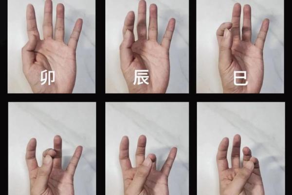 八字大师亲授：天干地支推算八字秘术大公开