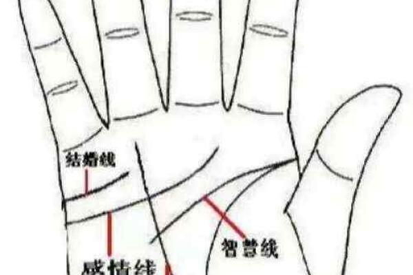 手相中的生育密码，一招看懂宝宝降临！