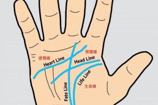 手相解码：掌握人生运势的神奇指南