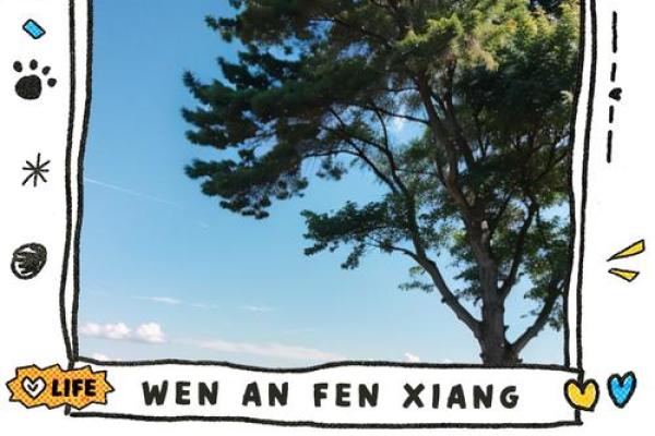 余林：林深时见鹿，运势长青如松