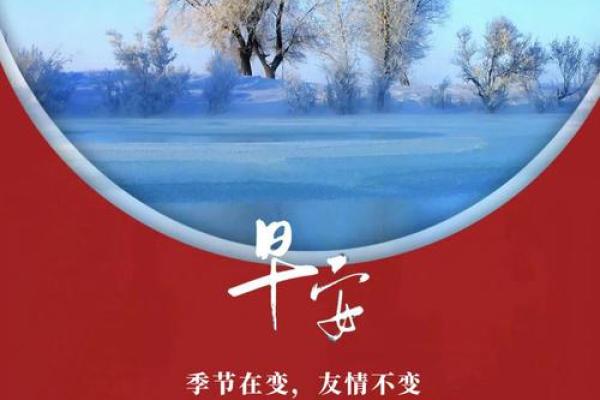 舒丽之梦，美好人生运势初露锋芒