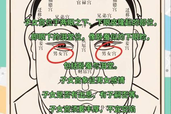 兔子嘴面相爆红：揭秘你的软萌运势！