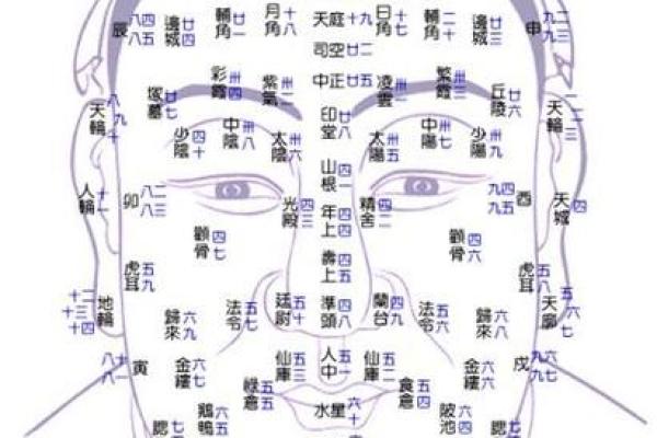 面相揭秘：男人浅面相的秘密