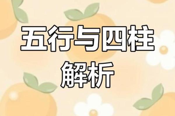 一学就会的八字五行，轻松读懂命运走势！
