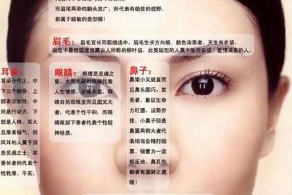 面相揭秘：瘦骨嶙峋的面容，隐藏着怎样的命运密码？