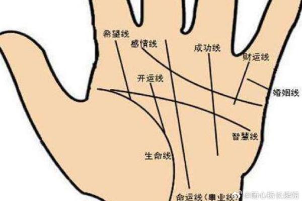 手相探秘：异地新娘的婚恋密码，揭秘异地姻缘的神奇力量
