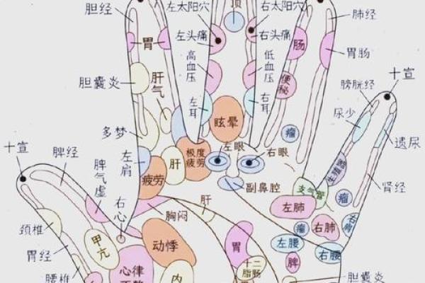 一招辨血压：手相透露你的健康秘密