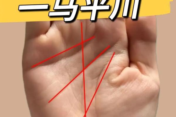 一招辨血压：手相透露你的健康秘密