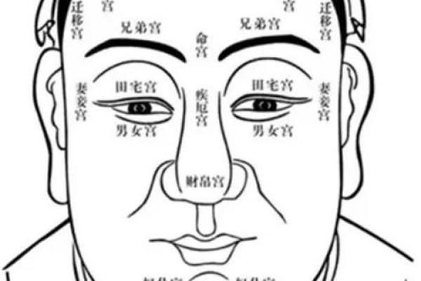 恶报面相揭秘：揭秘命运多舛的面相特征
