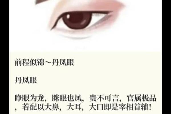 恶报面相揭秘：揭秘命运多舛的面相特征