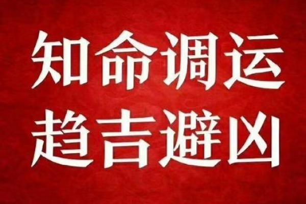 颠覆传统：甲金命理教你精准预测未来