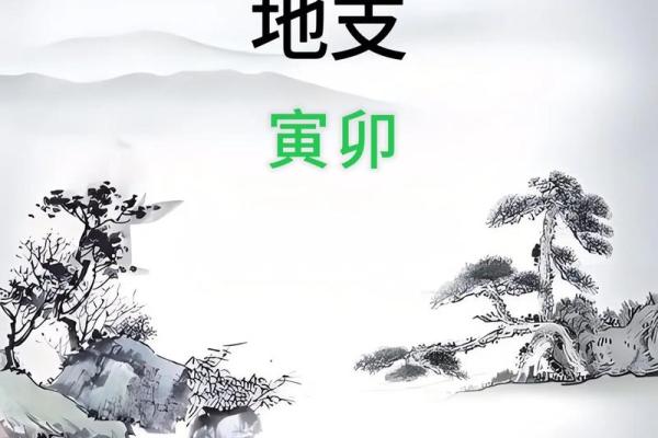 丑卯联动：揭秘地支间神秘合力的秘密