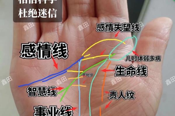 手掌奥秘：揭秘右手手相中的财运密码