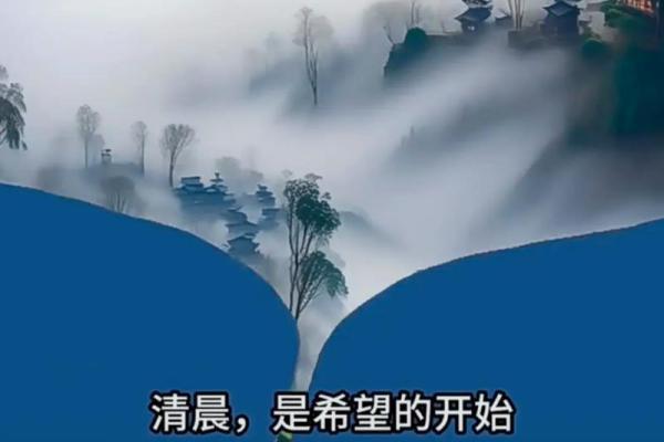 李子由：阳光智慧，寓意美好，人生璀璨之星