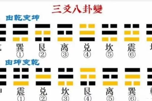 古老智慧解码：后天八卦地支图秘籍大公开