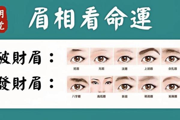 面相揭秘：眉眼之间，学业成就的预示