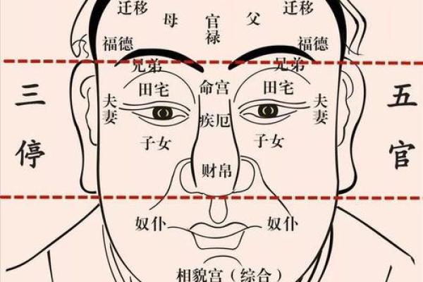 面相揭秘：眉眼之间，学业成就的预示