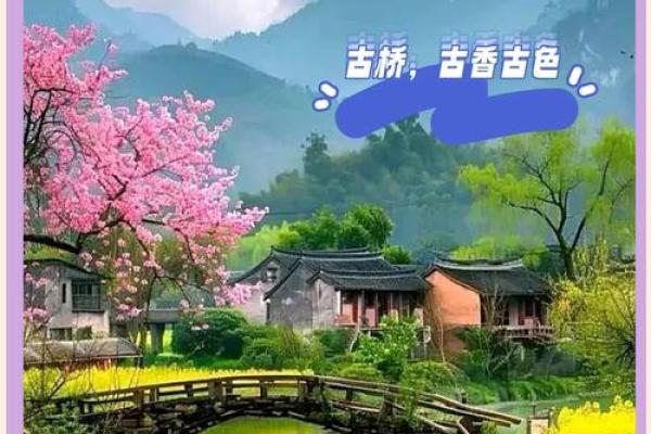 传统文化的魅力：连接历史与未来的桥梁