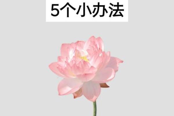 风水大师亲授，招财平安两不误，财运亨通的秘密！