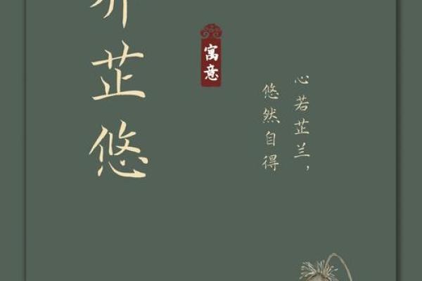 周杭的名字解析：揭示其在中国文化中的深层象征