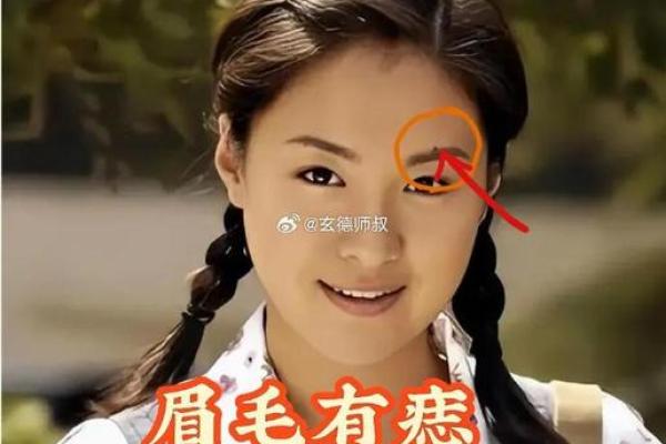 眉若柳叶，福相天成：揭秘眉型与面相之美