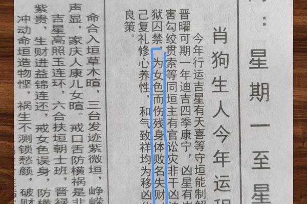 福狗迎祥：属狗男宝宝名字集锦