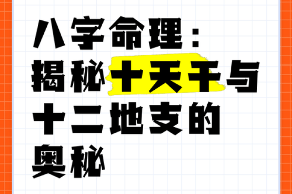 地支之谜：揭秘八字中的神奇力量