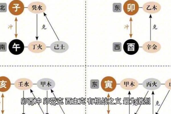地支之谜：揭秘八字中的神奇力量