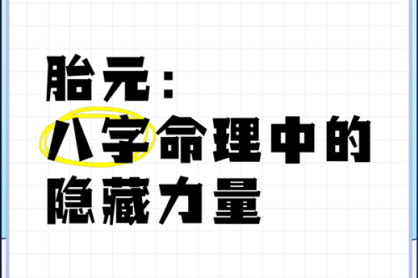 看透命运：揭秘八字命理的神奇力量