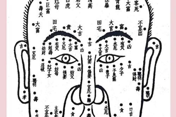 面相揭秘：神秘面相学的真实存在？