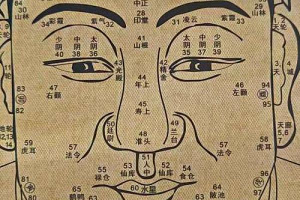 面相揭秘：神秘面相学的真实存在？