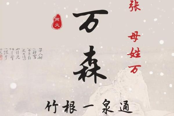 字里乾坤：揭秘名字中的文化内涵与寓意