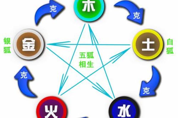 理五行属什么的深层解析