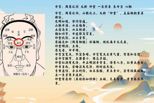 面相揭秘：偏财鼻的富贵征兆