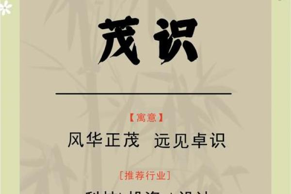 解读晨杰名字：寓意光明与卓越