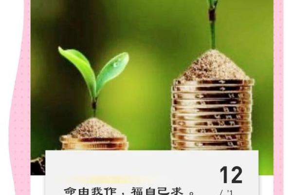 手中藏秘密，揭秘命运转折点