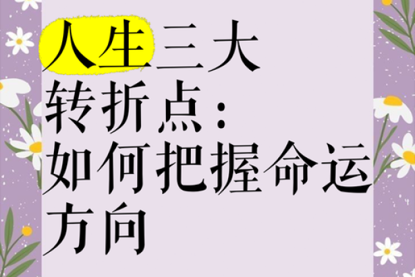 手中藏秘密，揭秘命运转折点
