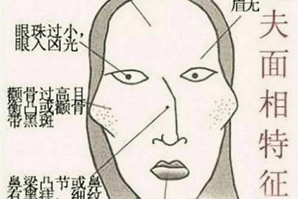 唇毛浓密，运势亨通，揭秘面相中的财气唇毛秘密！