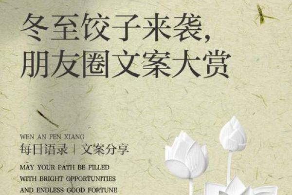 饺子包裹团圆情，冬至佳节味更浓