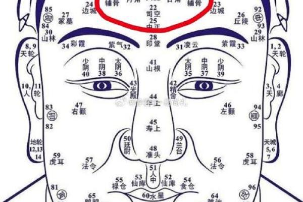 面相解析：乳房下痣暗示的人生轨迹