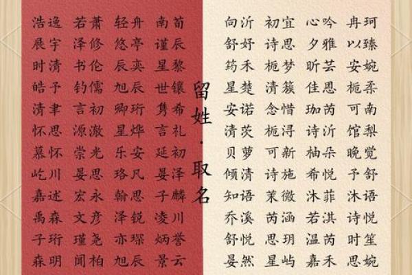 传承稳重：寓意美好的宝宝名字精选