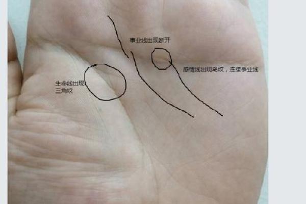 肠胃健康一手掌握，揭秘肠胃线手相秘密